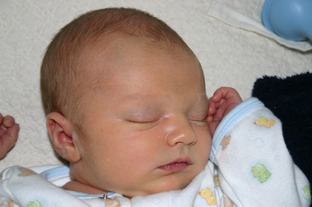 Click for original image 207k 1229x819